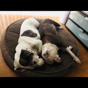 Meet your Posher, Allyson